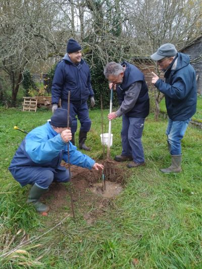 Du monde pour planter ce jeune pommier IMG 20241205 WA0007