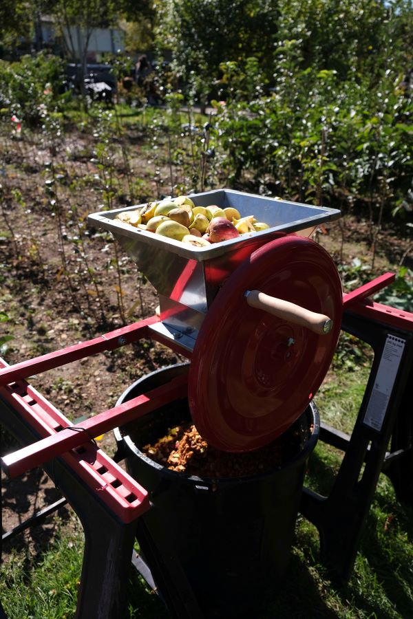 La machine à découper XTB1243