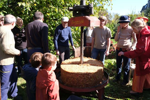 la galette de pommes pressées XTB1142