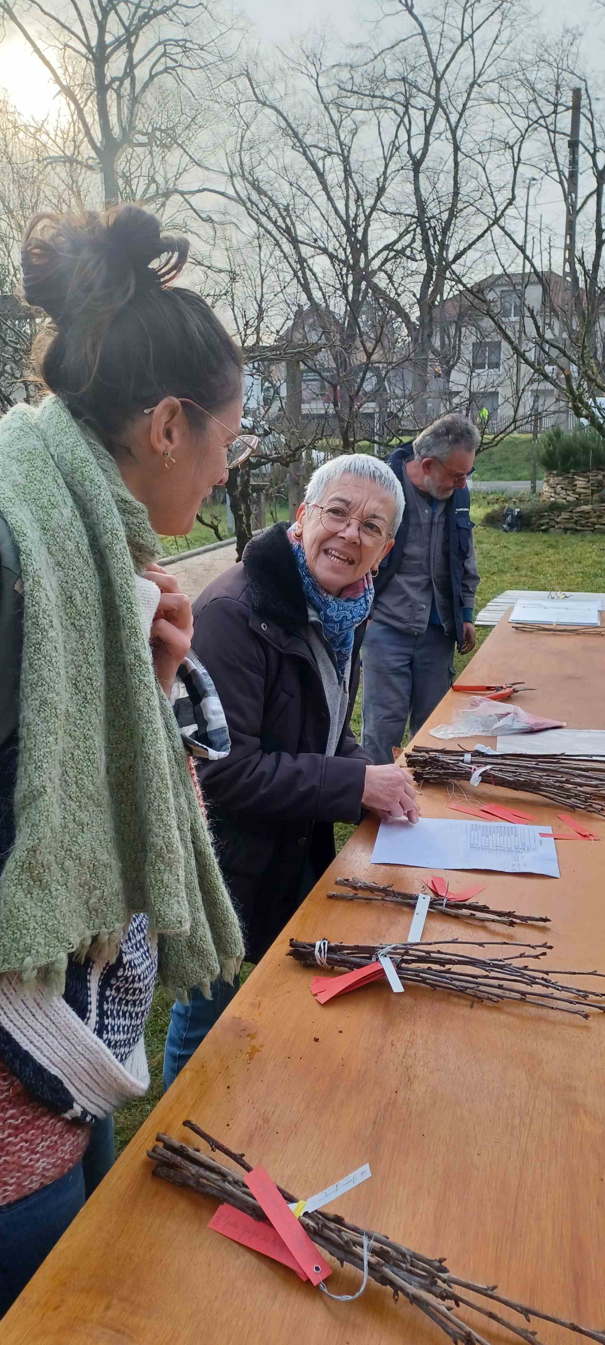 Ddistribution des Greffons
