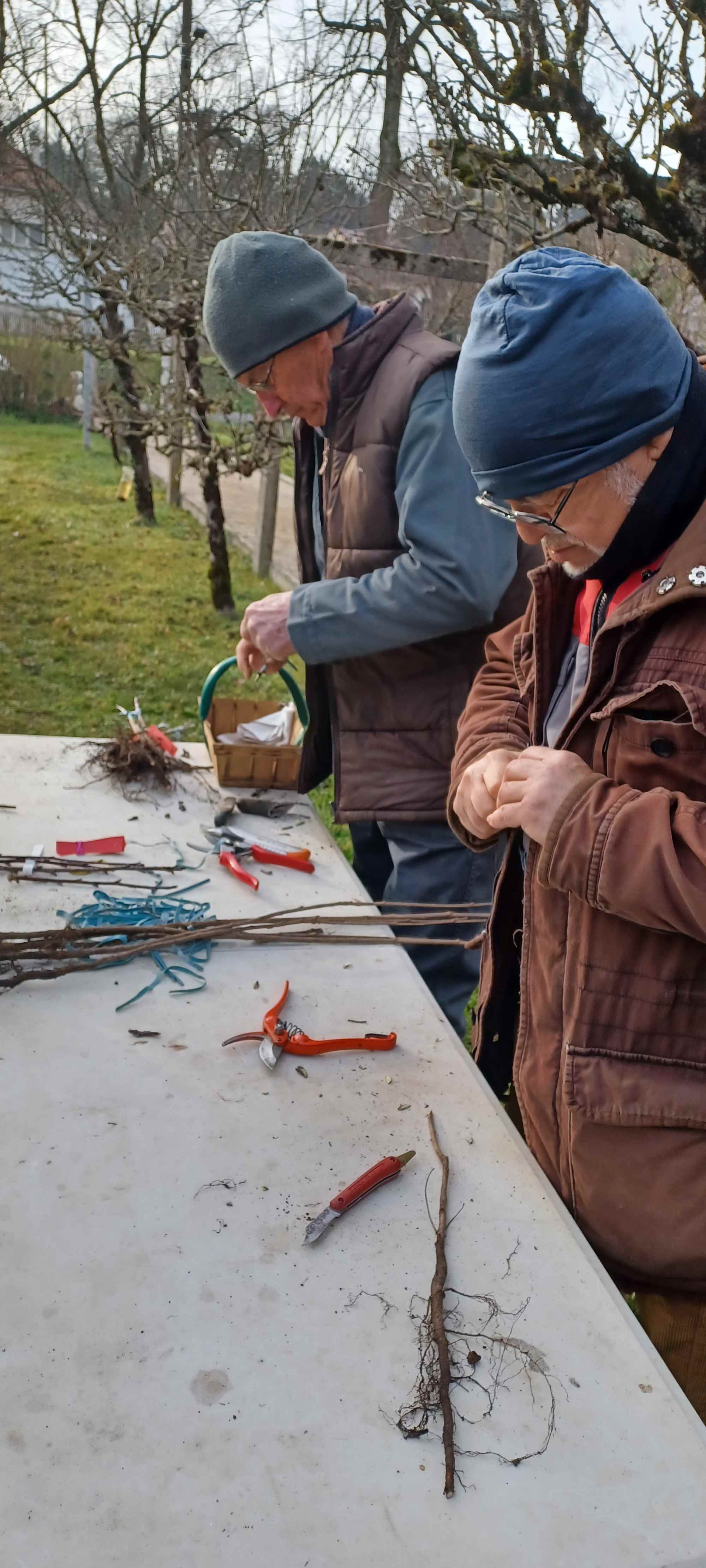 Outils de greffe greffoir Sécateur élastique 