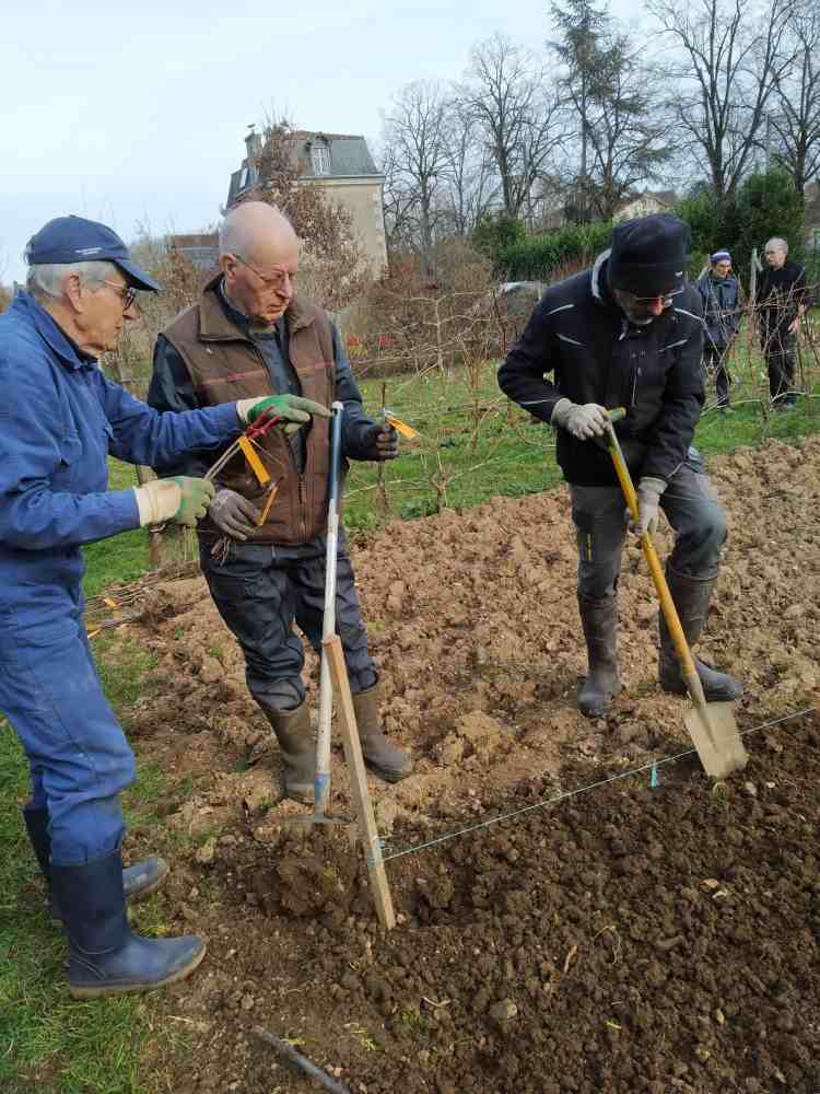 travail en trinôme