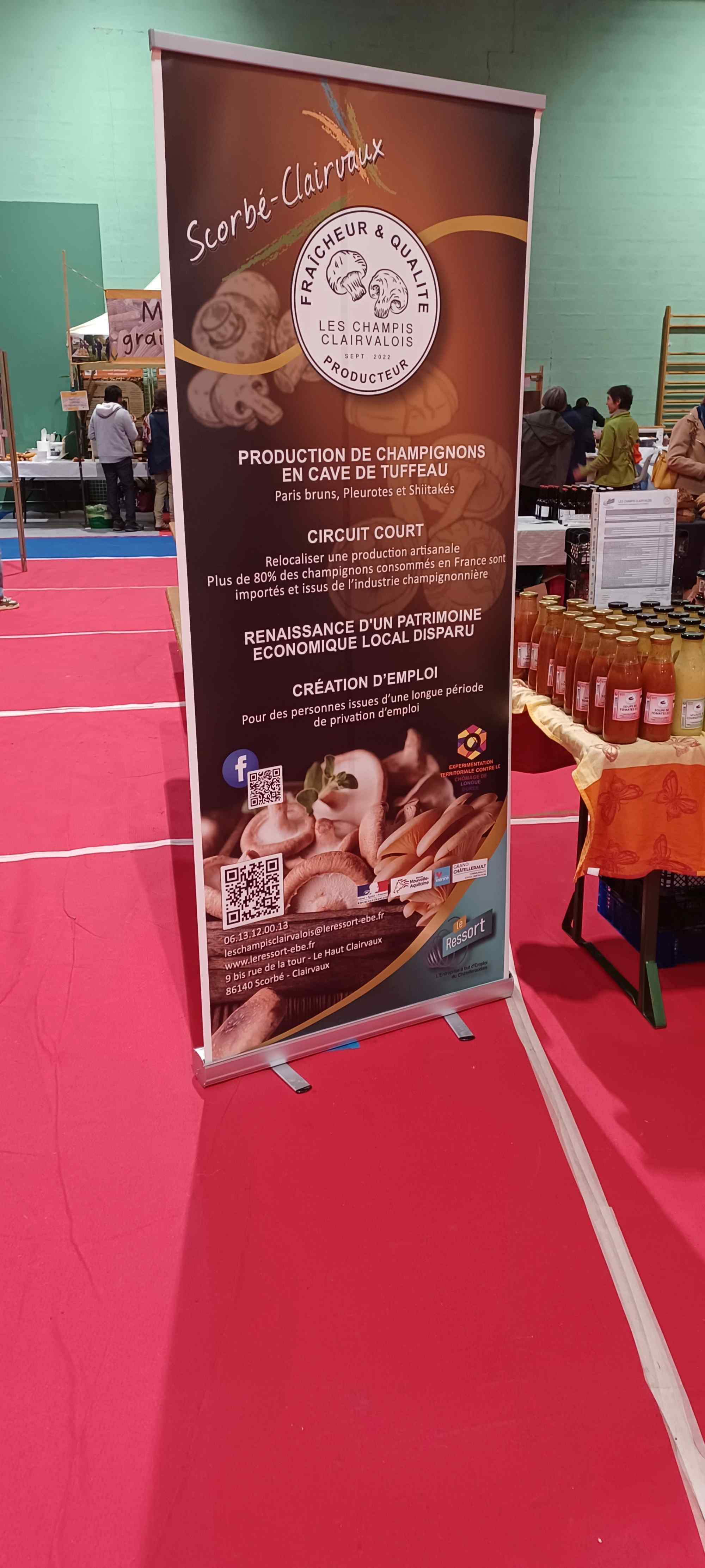 Light Champis Clairvalois en cave de TUFFEAU