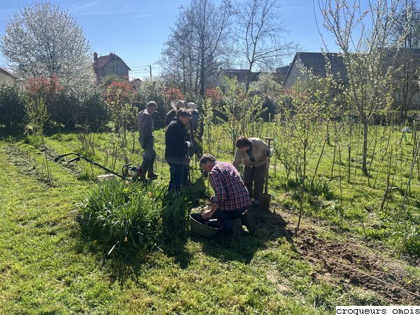 25.04.08 Terrain croqueurs IMG 6243