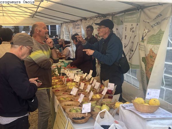 25.10.11 Rocourt St Martin IMG 6900