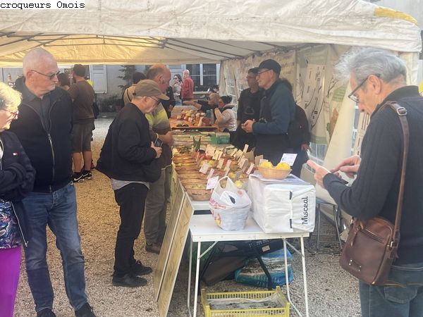 25.10.11 Rocourt St Martin IMG 6901