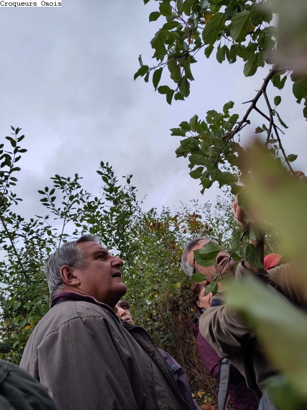 IMG 20251022 151101 BURST003