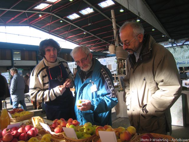 PW Eurocrocpom Limoges 20131116 003