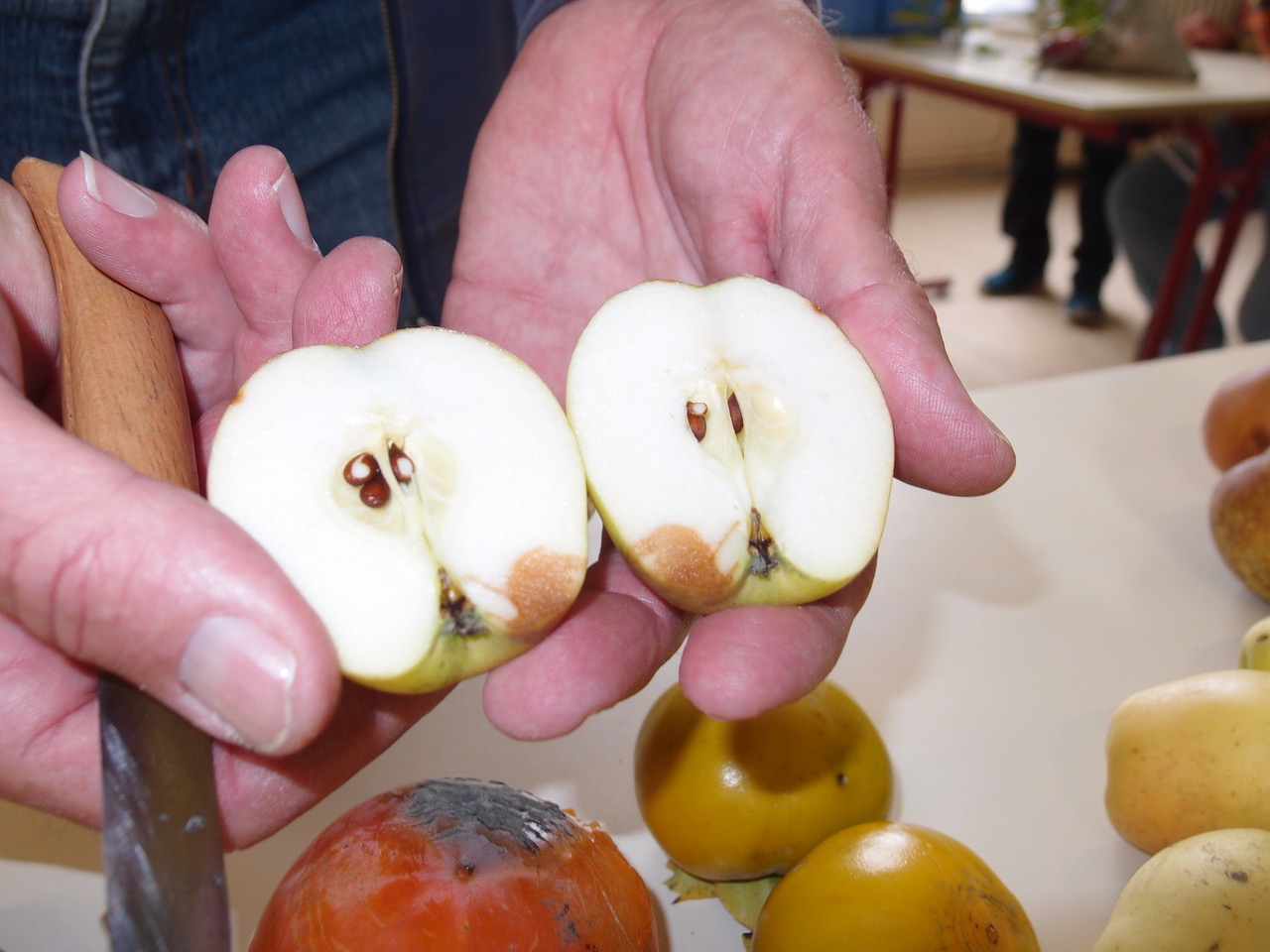 2020 détermination détail
