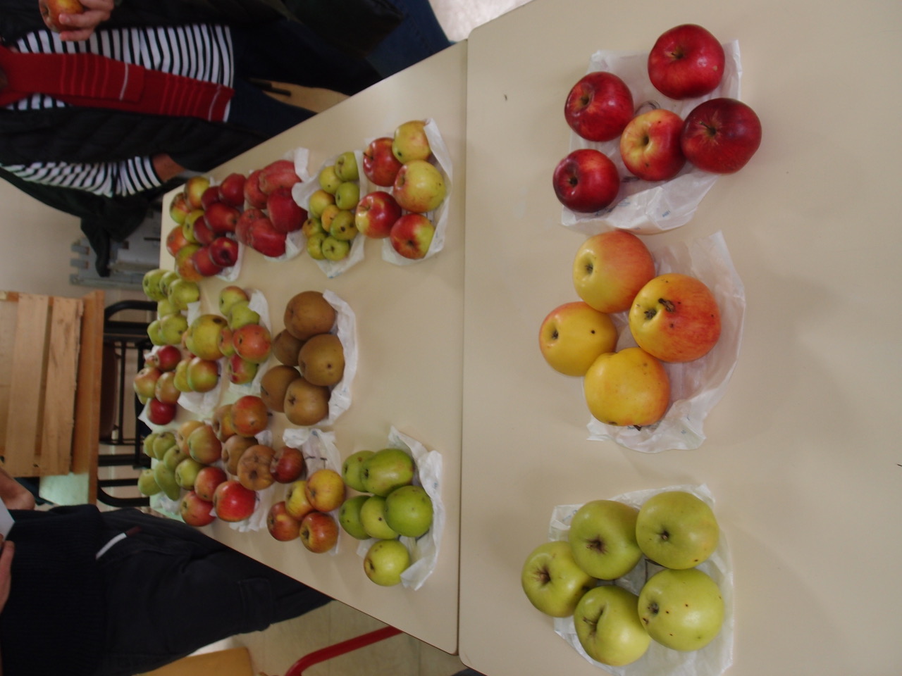 2020 17 10 détermination général