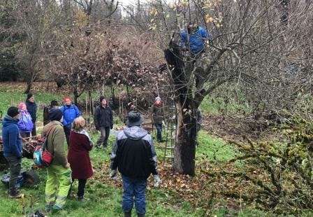 2021 Comp JL Dye taille Cusset cassé