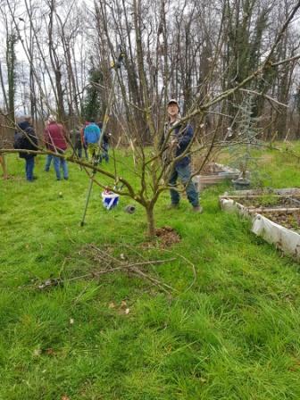 2024 taille formation arbres fruitiers mars