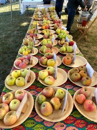 Fruits exposés étalage