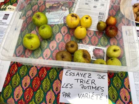 jeu tri des pommes