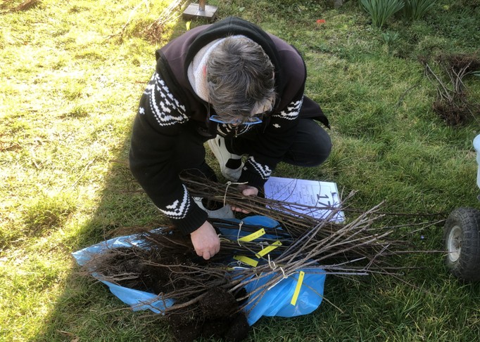 Préparation d'une commande