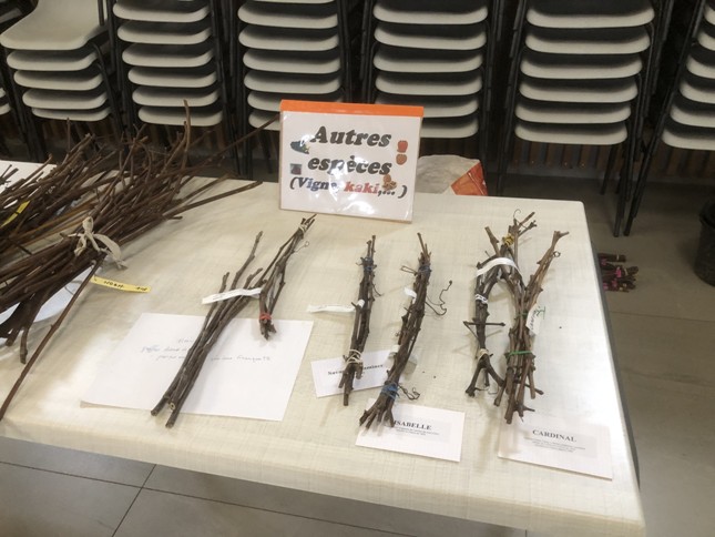 Table autres espèces