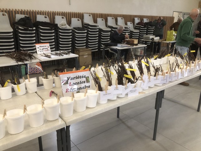 Table variétés locales