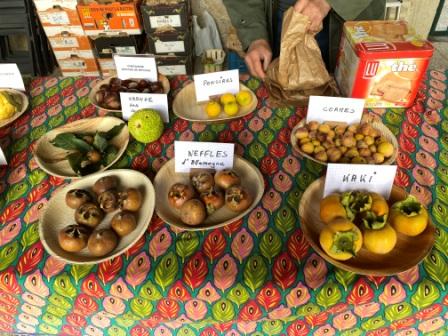 Les autres fruits