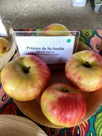 Précoce de St Sorlin