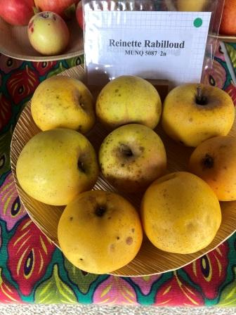 Reinette Rabilloud