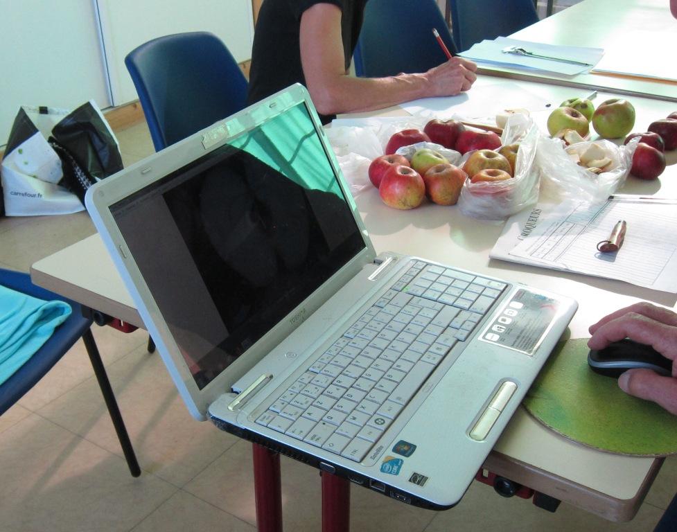 Détermination du 26 10 2019