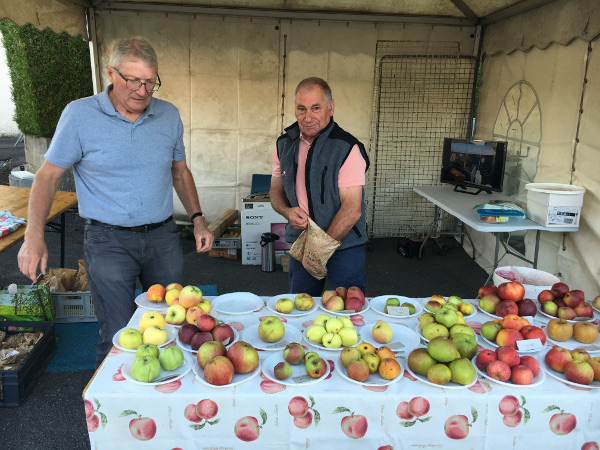 small120 Boué Fête de la pomme 15sep19 2