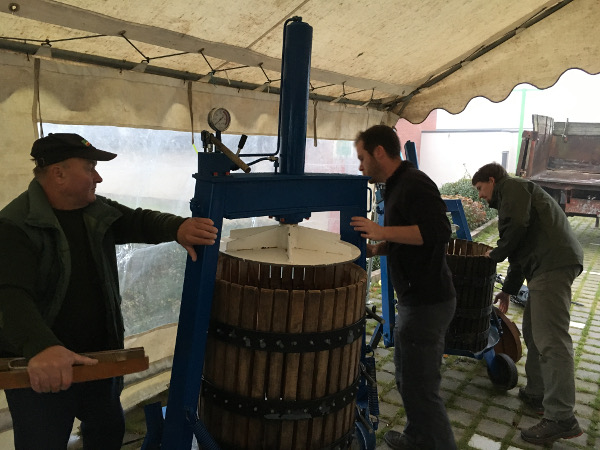 small 145 Gommégnies pressée 5oct19 2