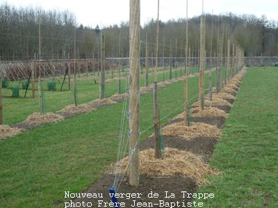 Jeunes plantations La Trappe de Soligny