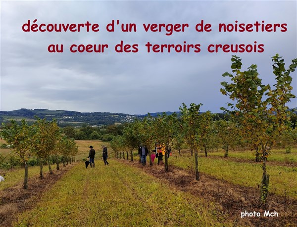 24 La Noisetière 23 Internet