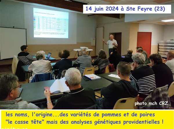 24 R Anayses génétiques