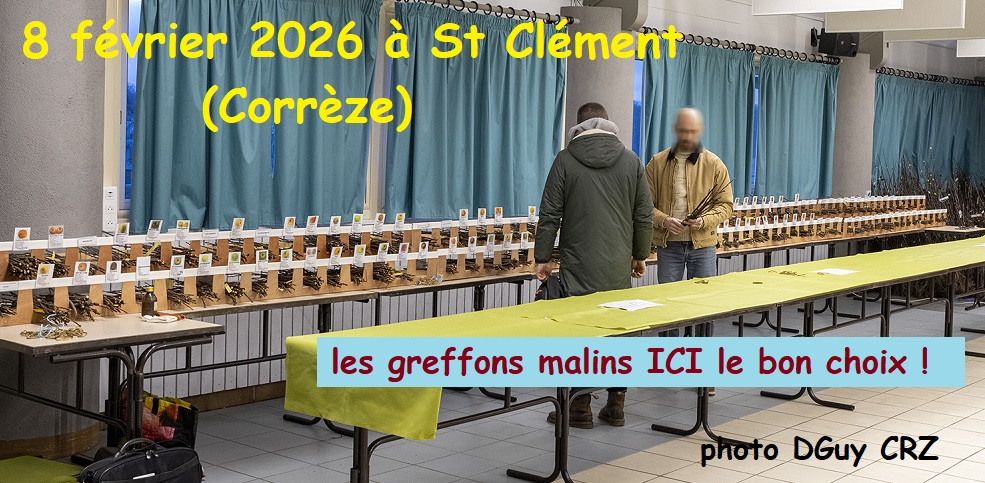 26 AG 02 08 Stand greffons 2