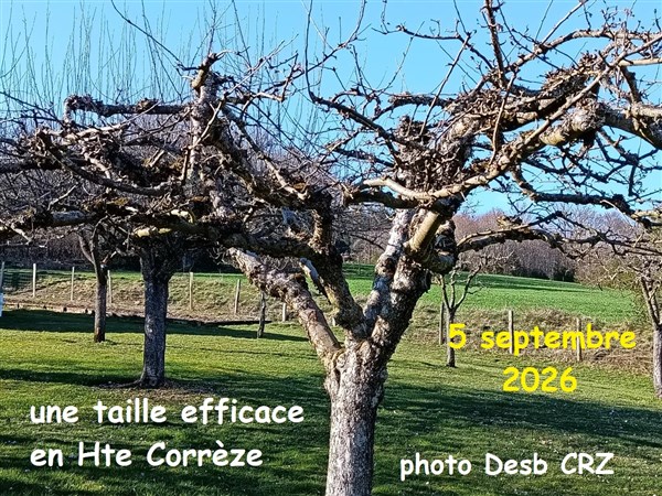 26 St sulpice LB 1