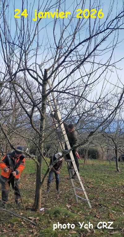 26 Taille axe central 2