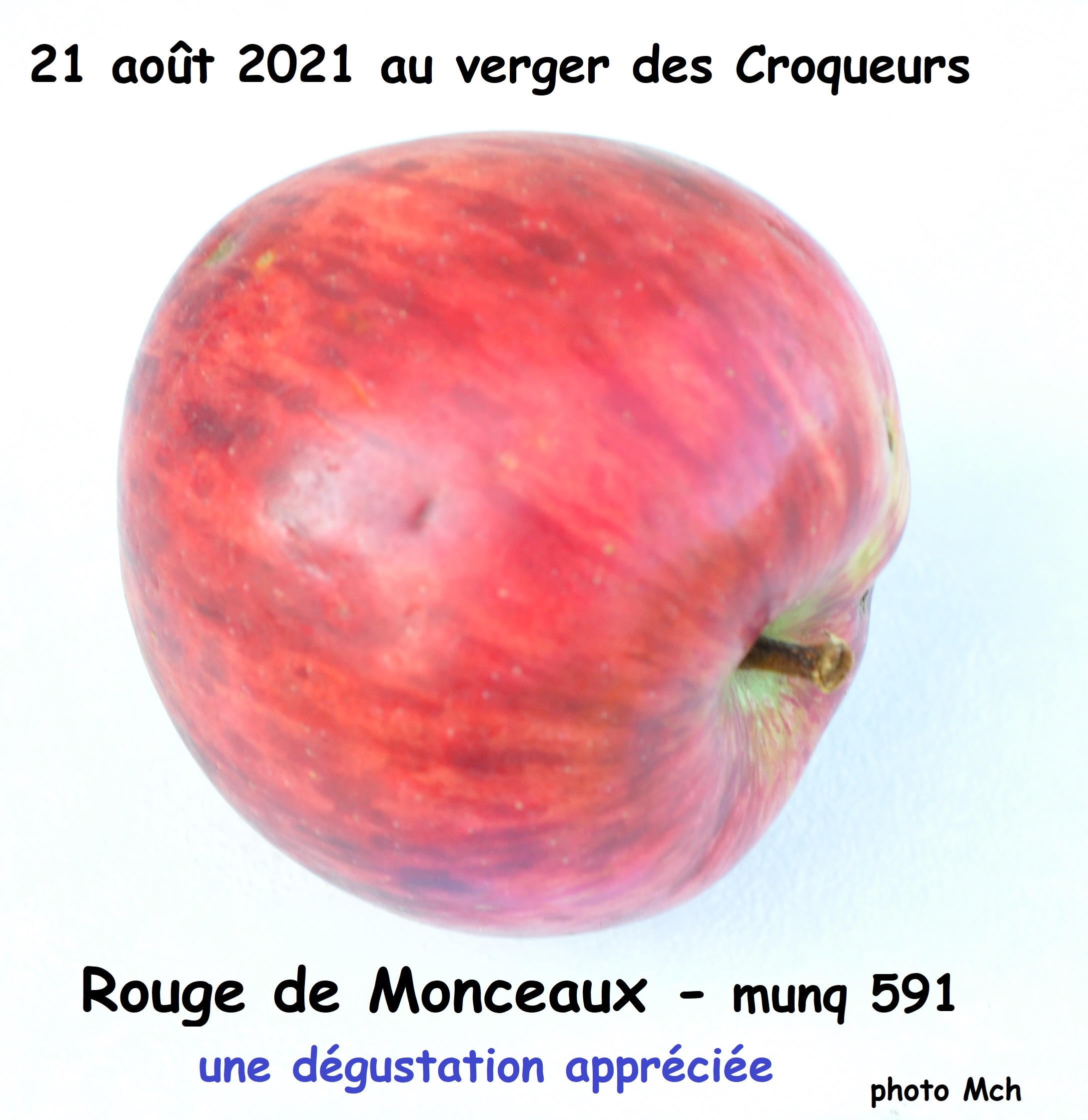 Rouge de Monceau 591