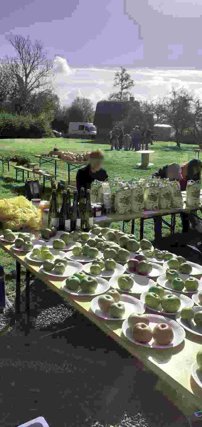 Resized 20241027 115603