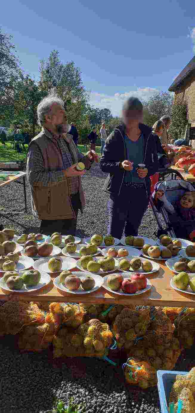 Resized 20241027 115610