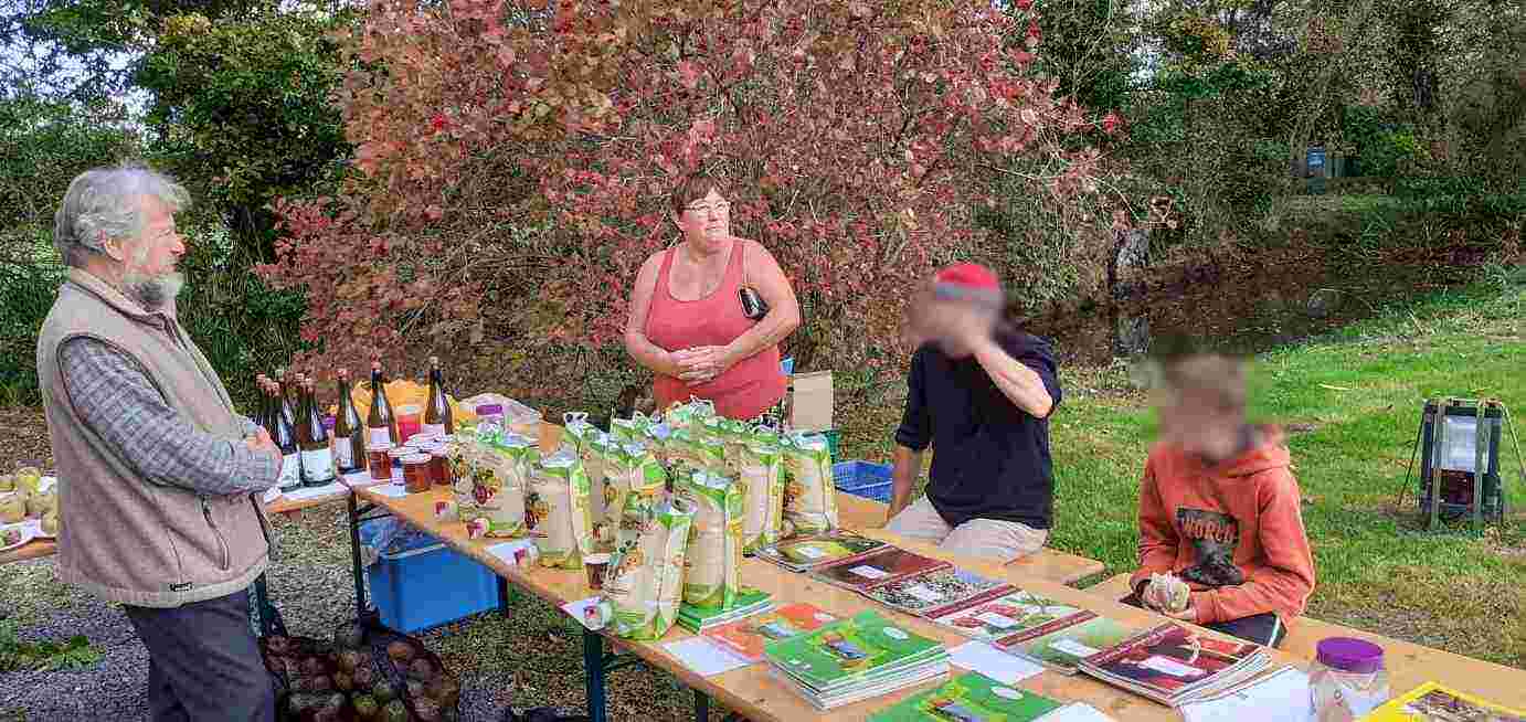 Resized 20241027 132146