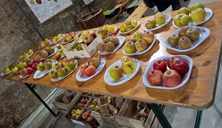 Aureil Fête de la Biodiversité