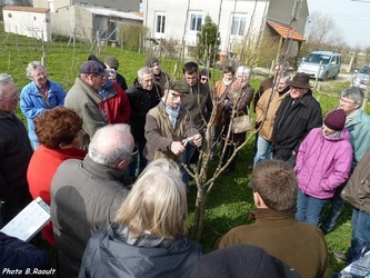 Taille formation mars 2016 03