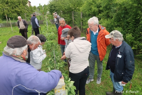 Vert 03 Mai 2019