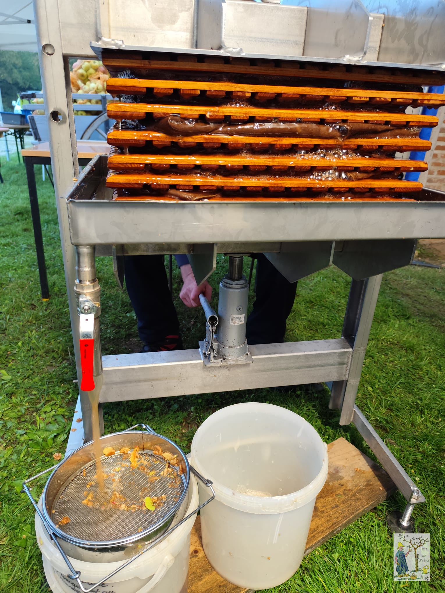 IMG 20251012 WA0004VDS