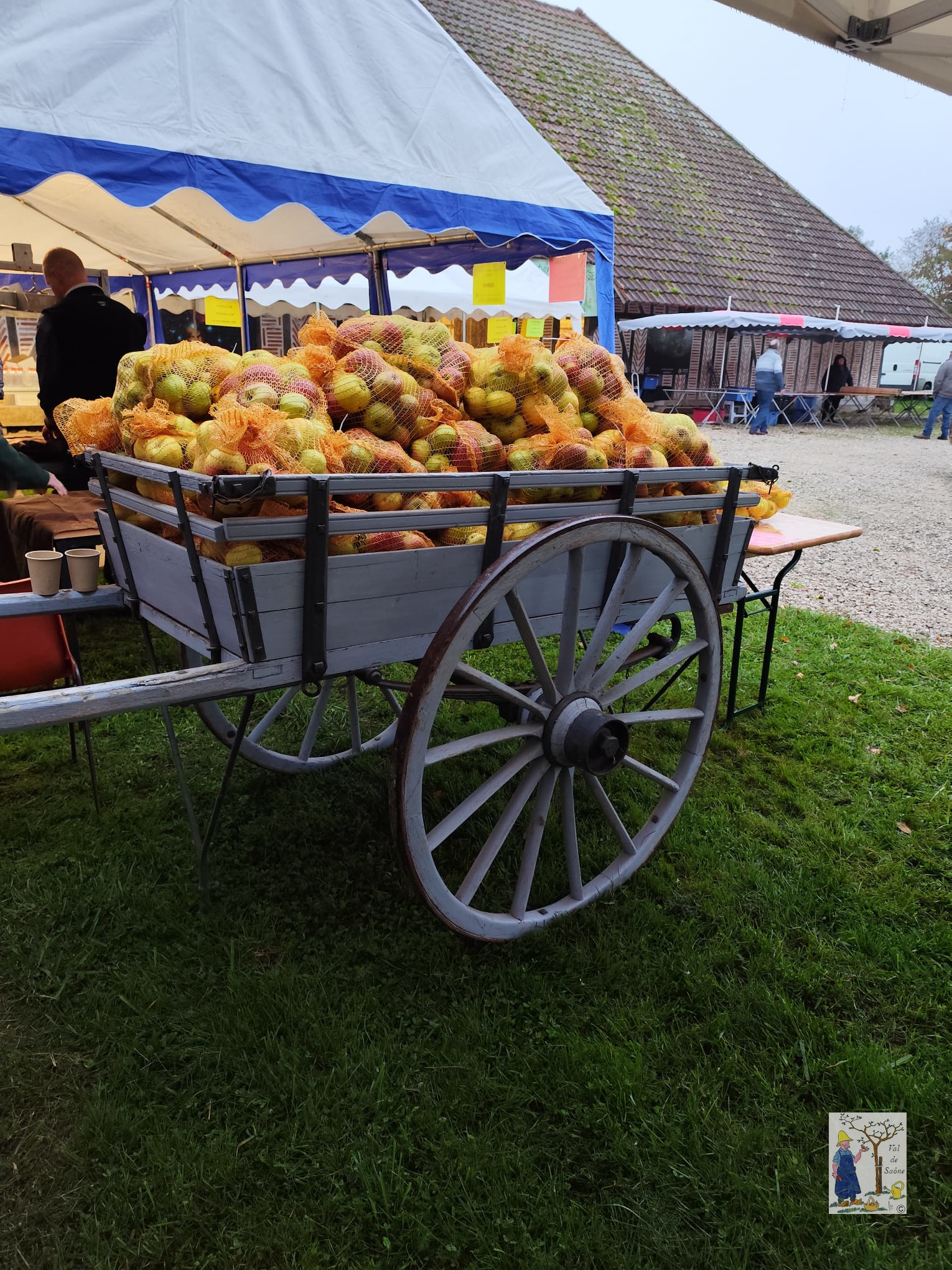 IMG 20251012 WA0007VDS