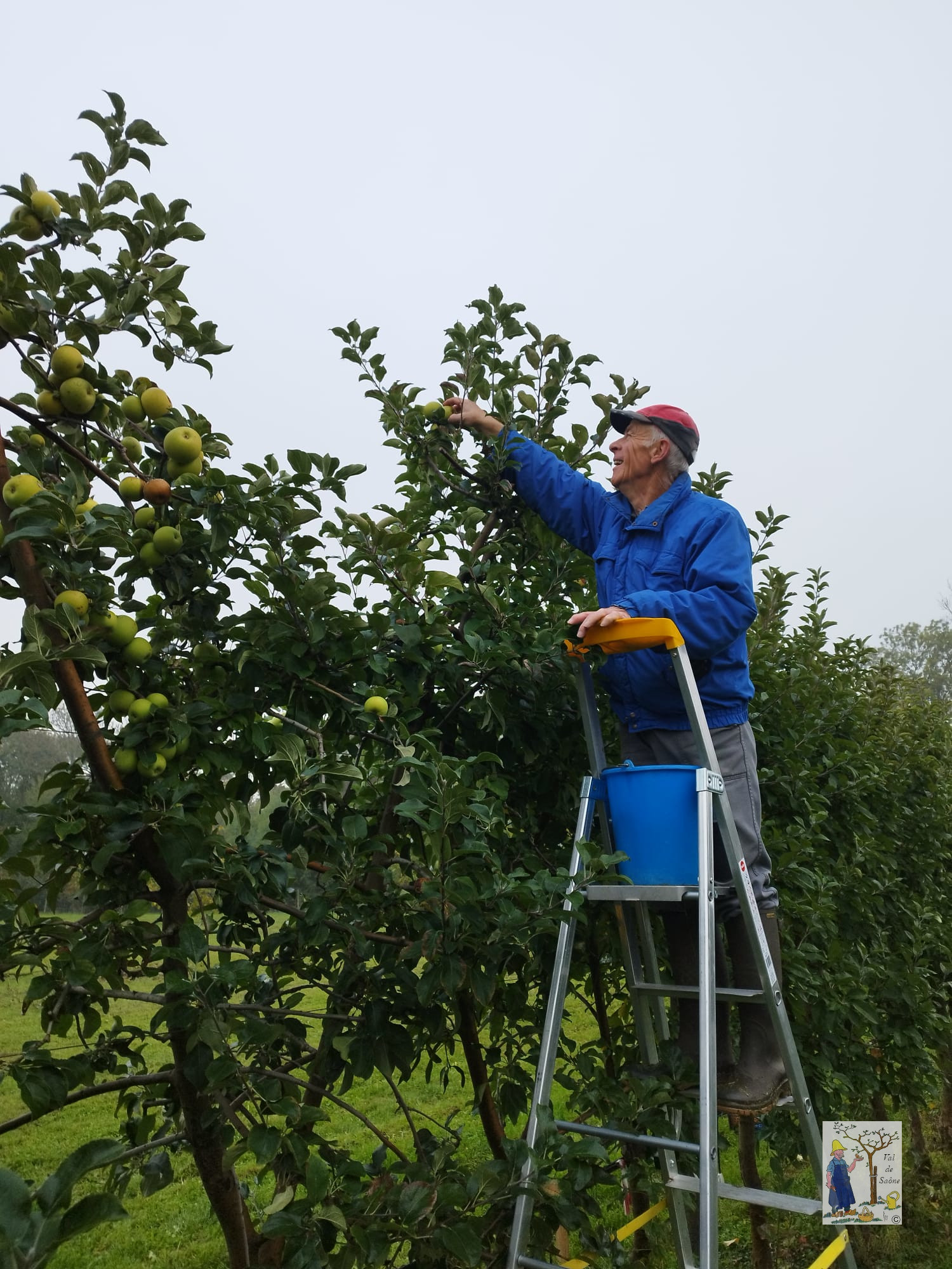 IMG 20251012 WA0019VDS