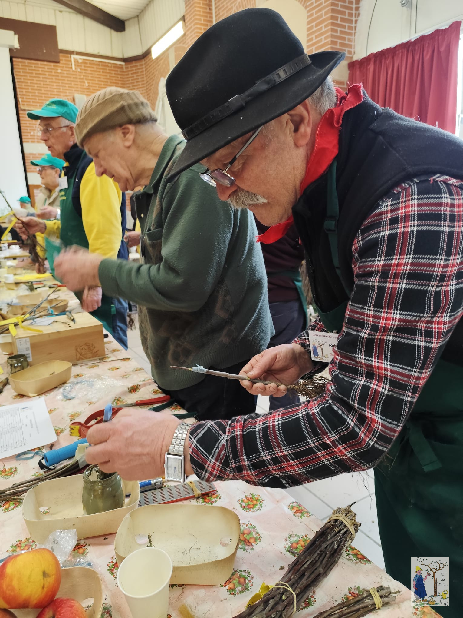 IMG 20260223 WA0004VDS