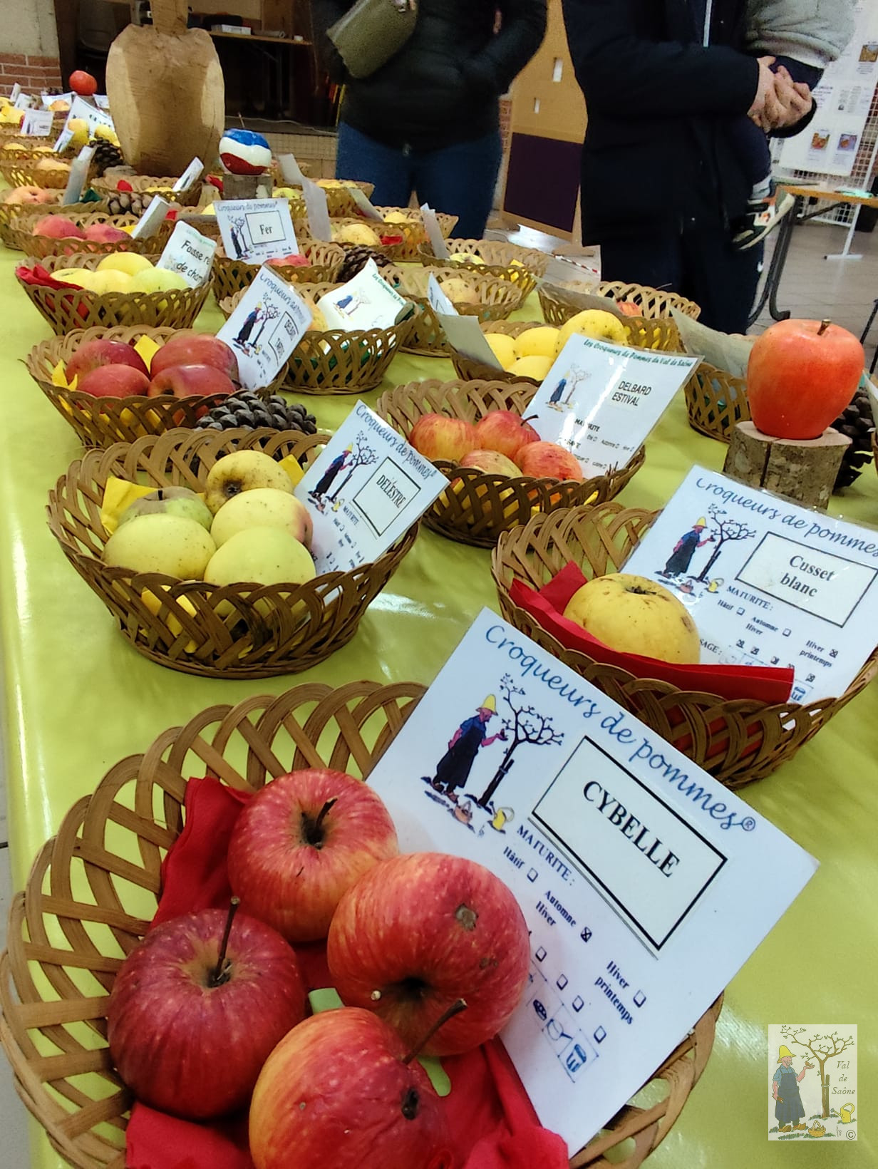 IMG 20260223 WA0006VDS