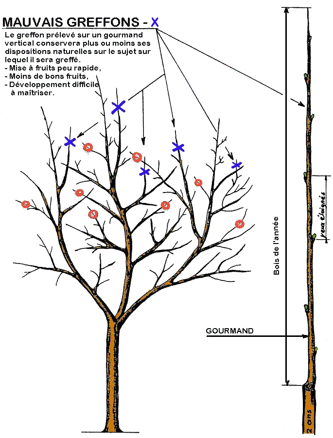 page22fig02