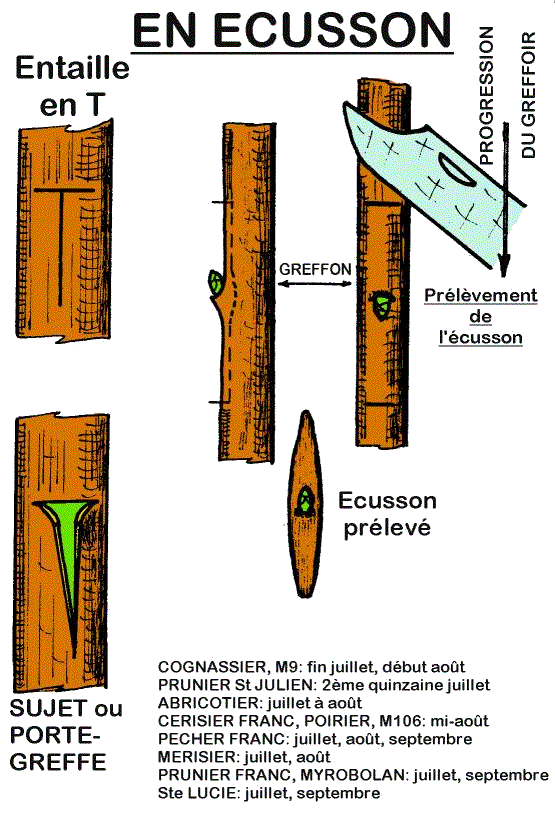 page23fig2