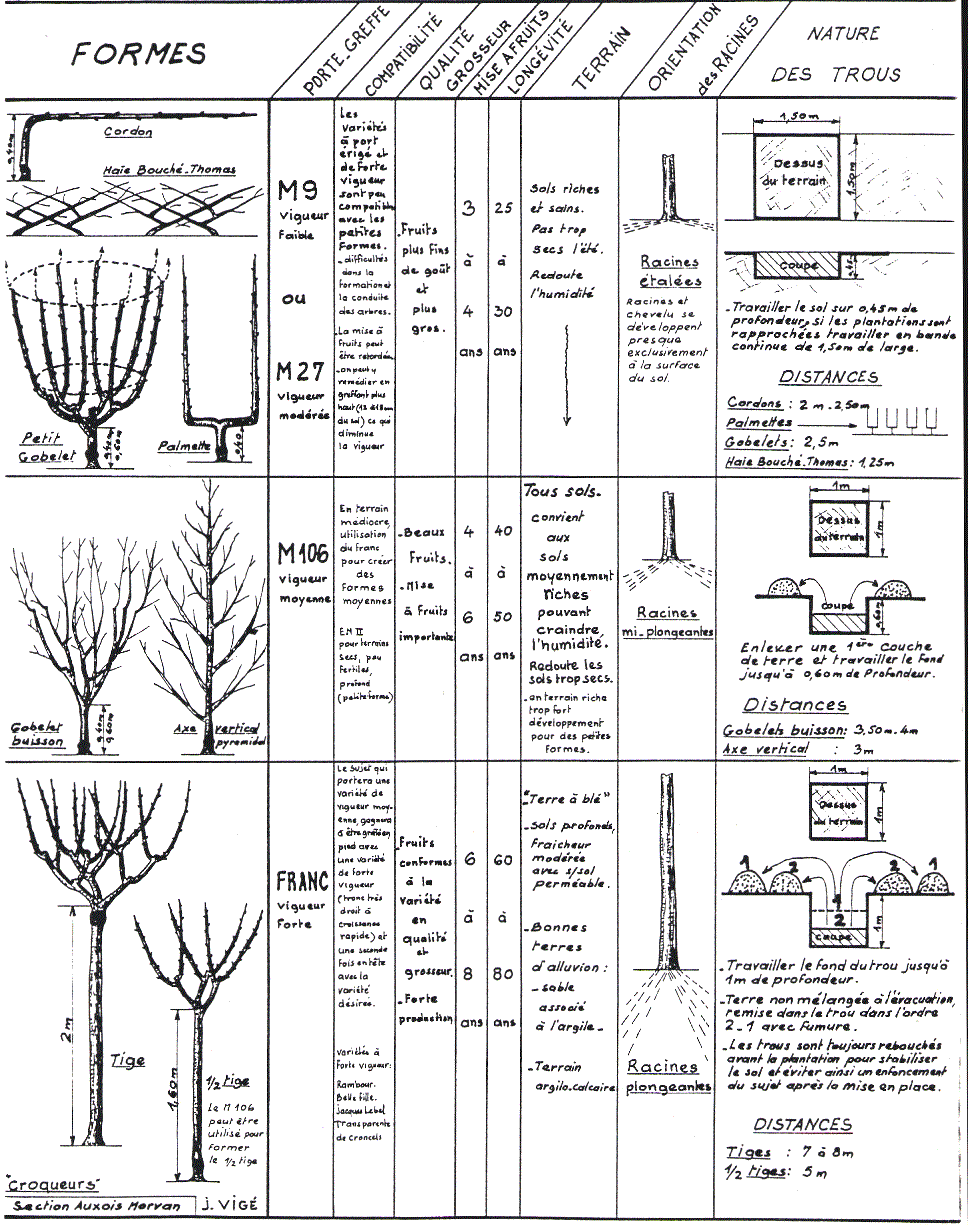 page08