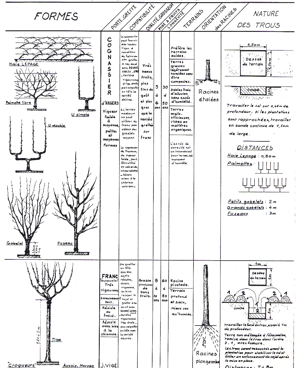 page09