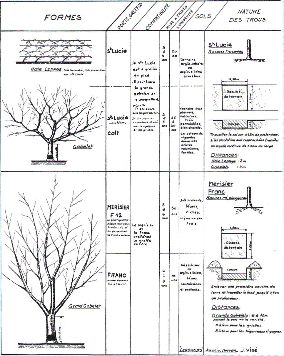 page11